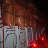 کاه
