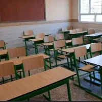 معلم ابتدایی و مربی مهد کودک