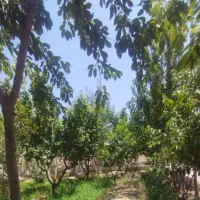 باغچه-چهاردیواری500-متری-مناسب-ویلاسازی
