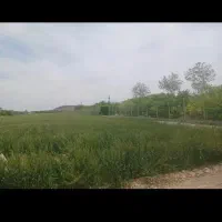 زمین باغ ویلا