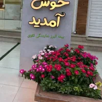 سرمایه گذاری محدود