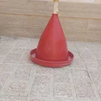 آبخوری مرغ