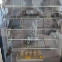 دستگاه جوجه کشی