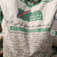 بذر ذرت مغان ۷۰۴ کیسه ای ۹تومان