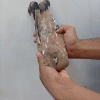 ماده تاپ درجه در حمیدیه