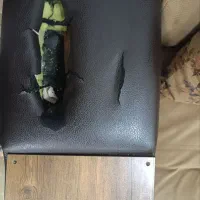 مبل