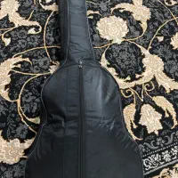 کیف گیتار