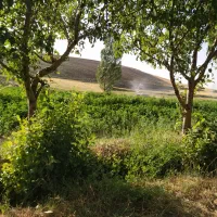 یونچه 4تن