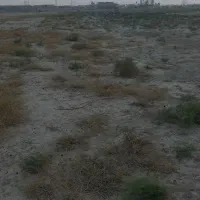 زمین در ویس