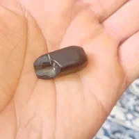 یشم مشگی کهنه
