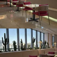 سالندار،ویتر،کمک اشپز