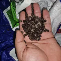 فروش غذای اکسترود ۲تا۳میل کپور