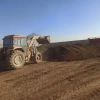 کود گاوی  و فراوری شده