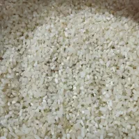 برنج کامفیروزی نیم دانه برنج نورابادی لوبیای چیتی