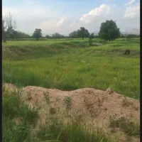 زمین باغی