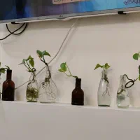 کافی نت و دنیای دیجیتال و مع. دل مهر توجه ب آگهی