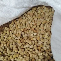 توت خشک