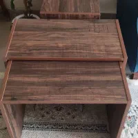 گل میز