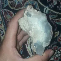 شجر