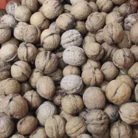 گردودماوند