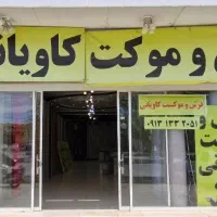 با ماهی ۳ میلیون فرش بخر بدون سود