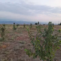 500-متر-زمین-باغی