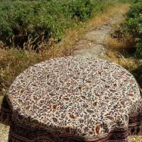 انواع ساک ورومیزی