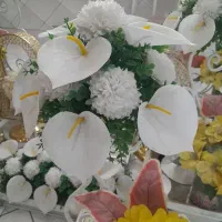 محضرازدواج وطلاق،عقدنامه(صیغه نامه)موقت ودائم،فسخ