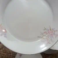 بشقاب چینی.پیش دستی.سوپ خوری.میوه خوری.استکان
