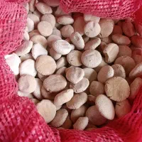 کشک تازه
