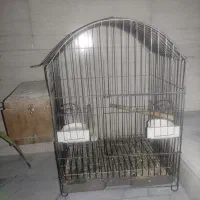 قفس پرنده ،سایز بزرگ با لونه و وسایل کامل