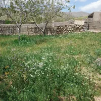 خونه   اخوم