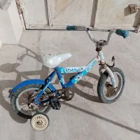 دوعدد دوچرخه