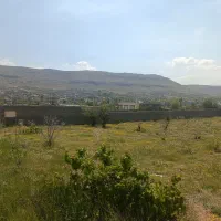 فروش-زمین-باغ-شهری-1000-متری