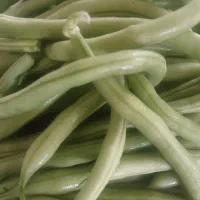 لوبیا سبز