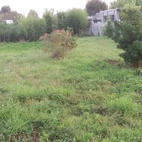 زمین کاملا مسکونی در قاضیان