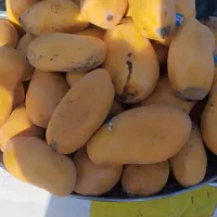 انبه قلم پاکستان سوپرلوکس