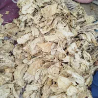 برگ زرد امسال