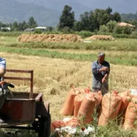 فروش فوری زمین