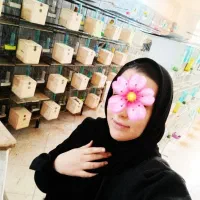 کوتوله اوپلاین لوتینو پاربلویووینگ اوپال سالن عروس