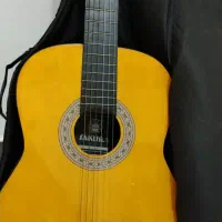 گیتار ساکورا ژاپنی