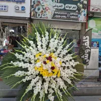 تاج گل|گل و گیاه طبیعی|کرج, حصارک پایین|دیوار