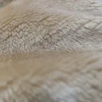 کاه گندم و جو فله و شلیف شده