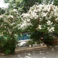 اجاره سالن مبله۲۵۰متری دورهمی همایش وکنفرانس|اجارهٔ کوتاه‌مدت دفتر کار و فضای آموزشی|تهران, ظفر|دیوار