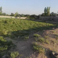 3000-متر-مناسب-باغ-گلخانه-خاوران-قاسم-آباد-تهرانچی