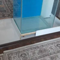 شیشه آکواریوم|ماهی|سنندج, |دیوار