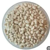 فروش لوبیا سفید