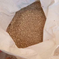 جو محلی درجه یک