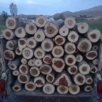 درخت کاری