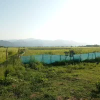 500متر زمین  با کاربری مسکونی ویوی کوه